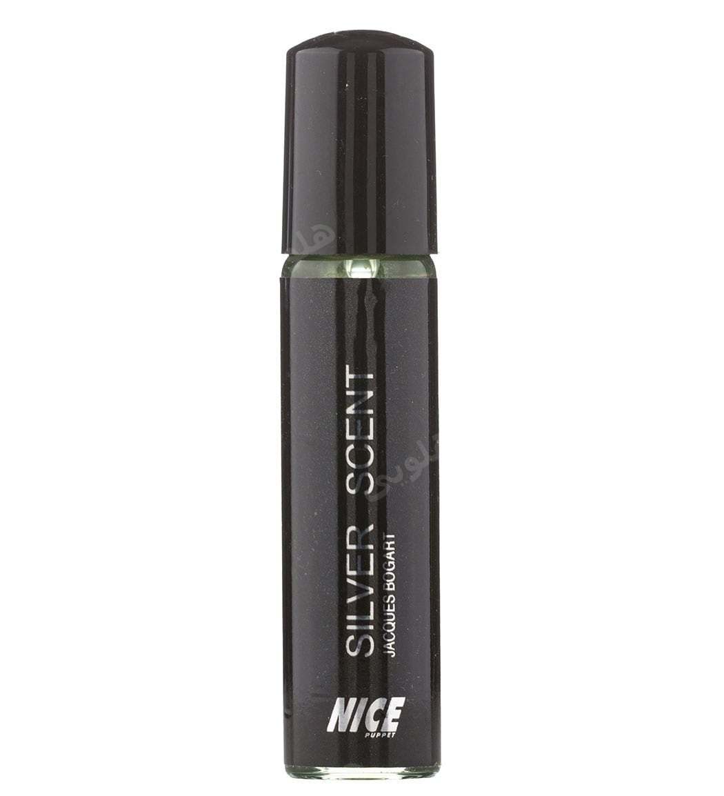 عطر جیبی مردانه Silver Scent با رایحه خنک 30میل