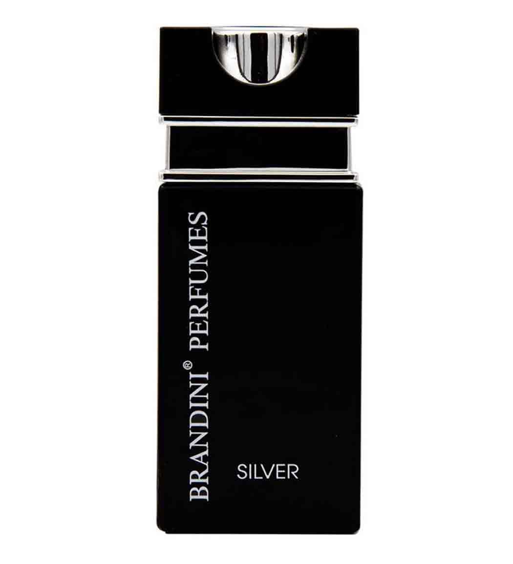 ادو پرفیوم جیبی مردانه مدل Silver حجم 25 میل
