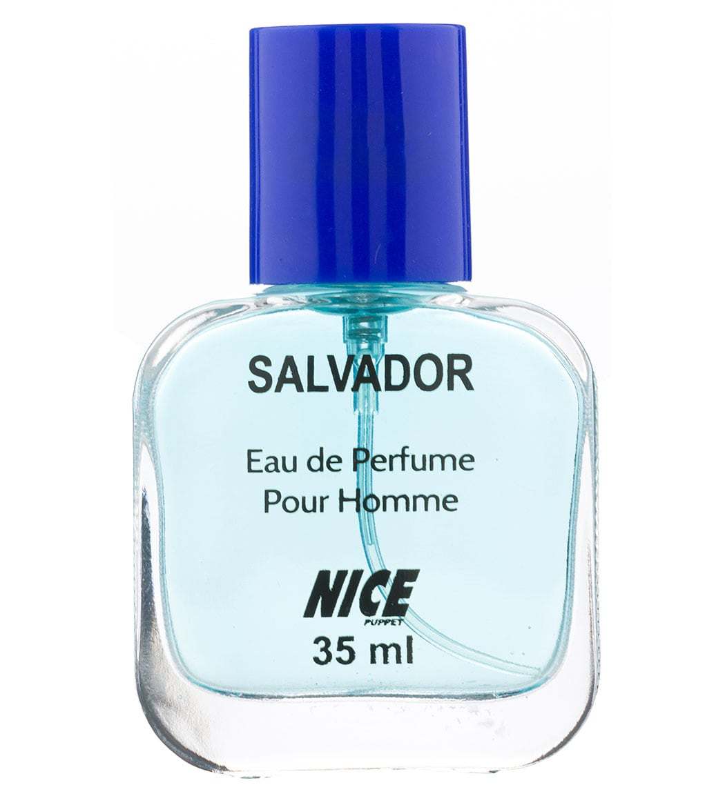 عطر جیبی مردانه Salvador حجم 35میل