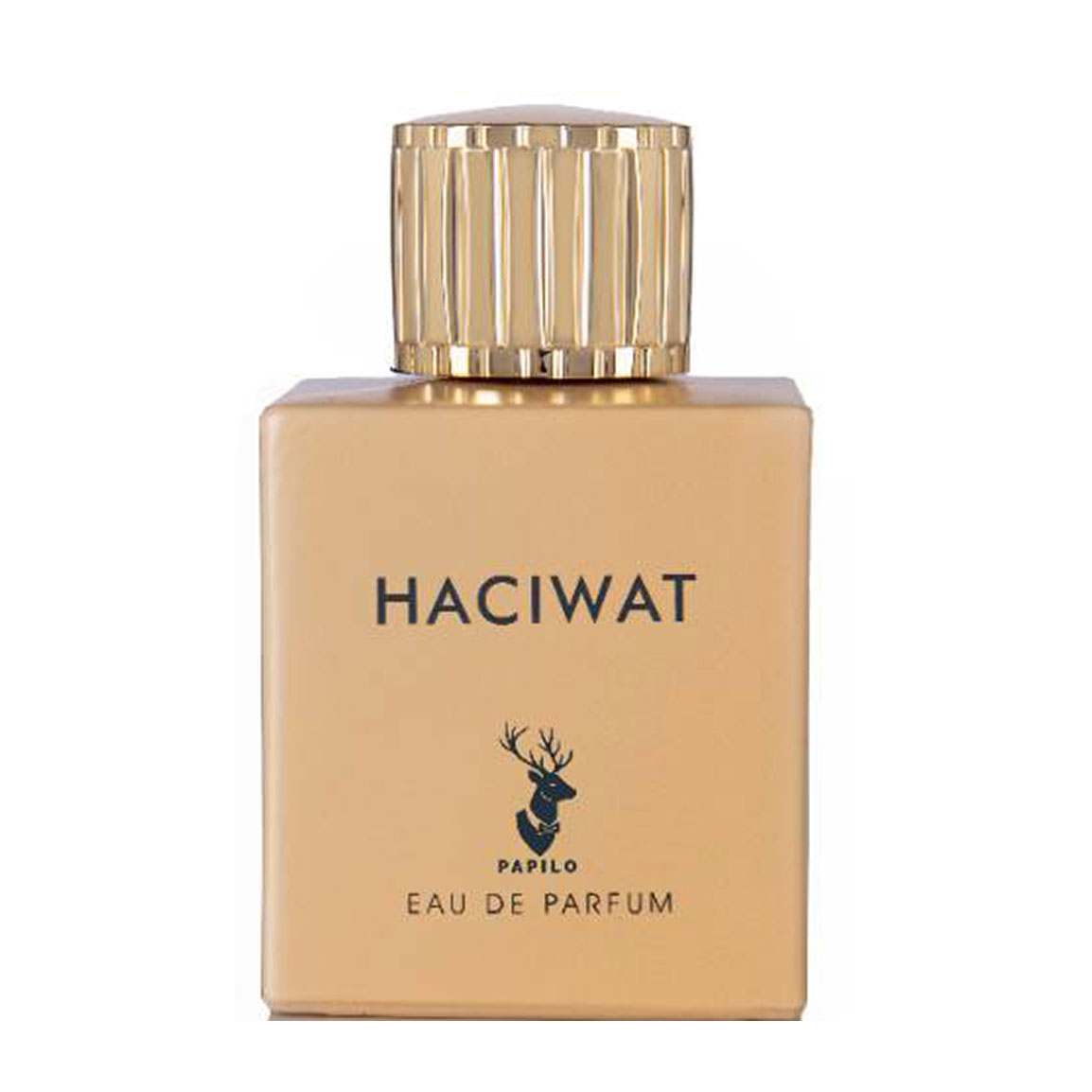 ادوپرفیوم مردانه مدل Haciwat حجم 100 میلی لیتر
