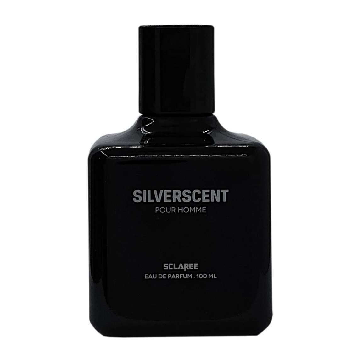 ادو پرفیوم مردانه استندی مدل Silver Scent حجم 100 میلی لیتر