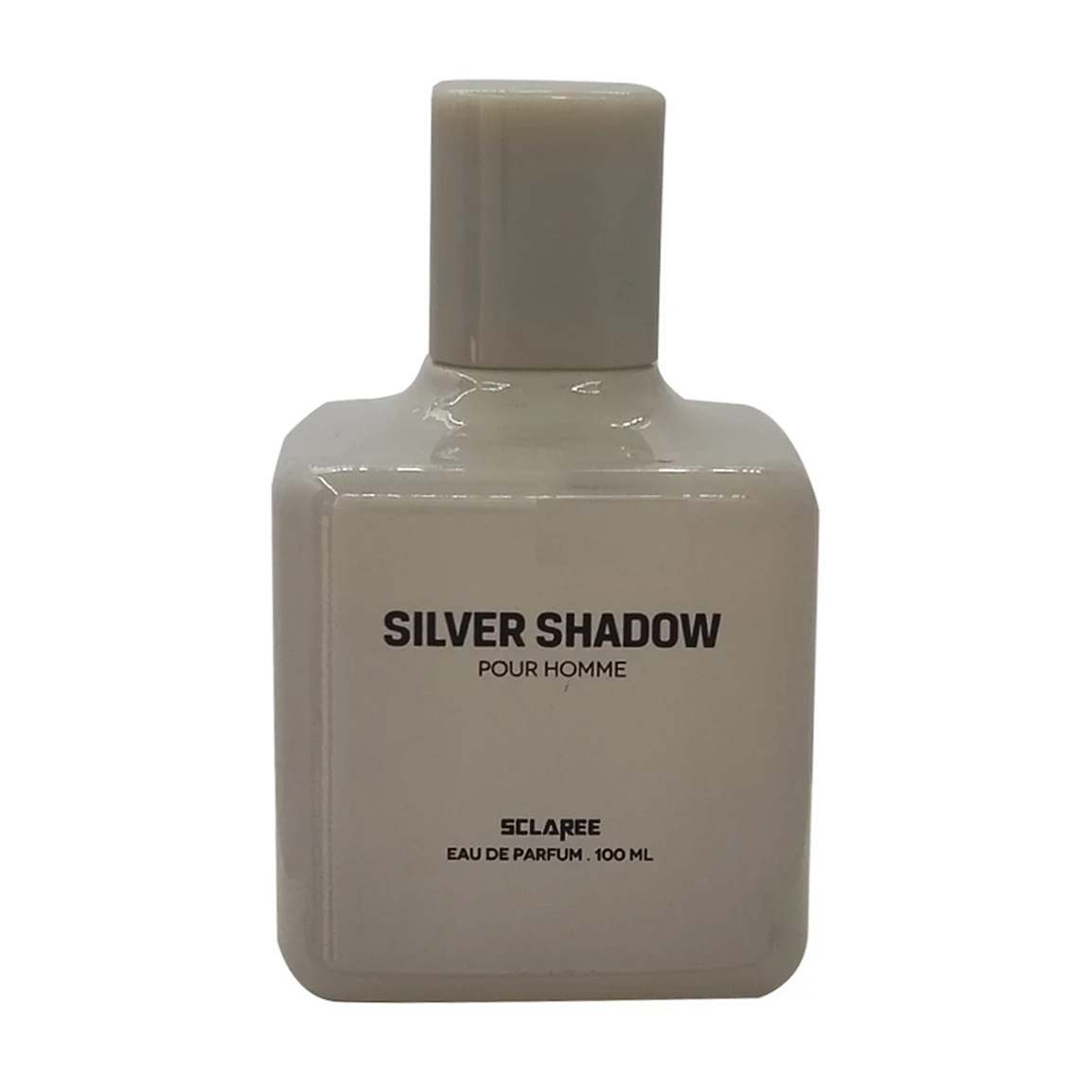 ادوپرفیوم مردانه مدل Silver Shadow حجم 100 میلی لیتر