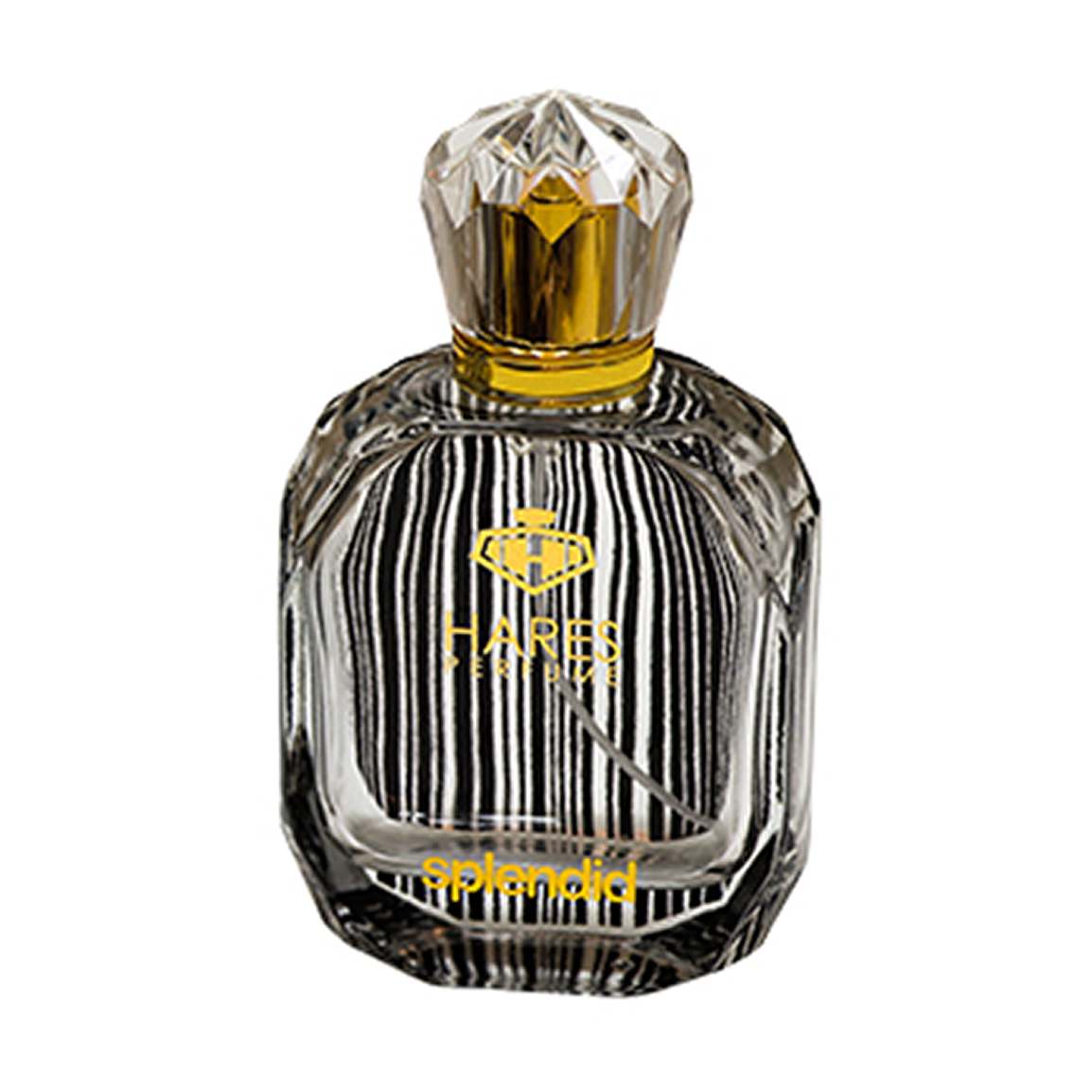 ادوپرفیوم مردانه مدل Splendid Black حجم 100 میلی لیتر