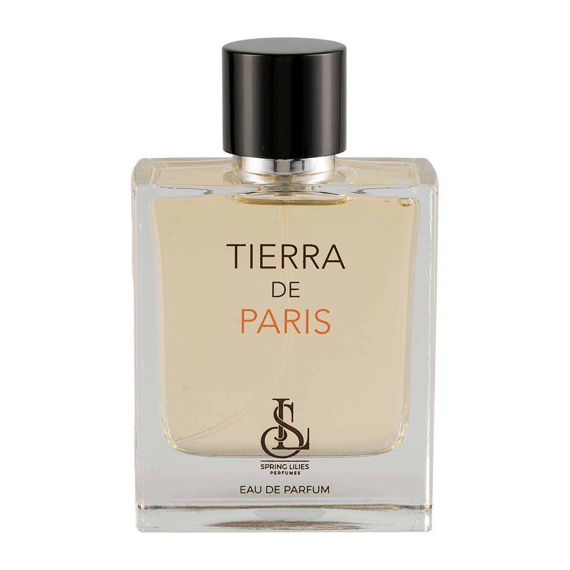 ادو پرفیوم مردانه مدل Tierra De Paris حجم 100 میلی لیتر با پکیج Soft