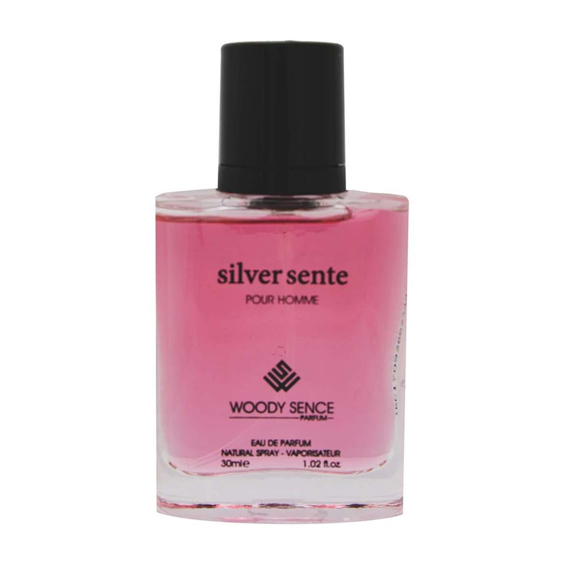 عطر جیبی مردانه مدل Silver Scent حجم 30 میلی لیتر