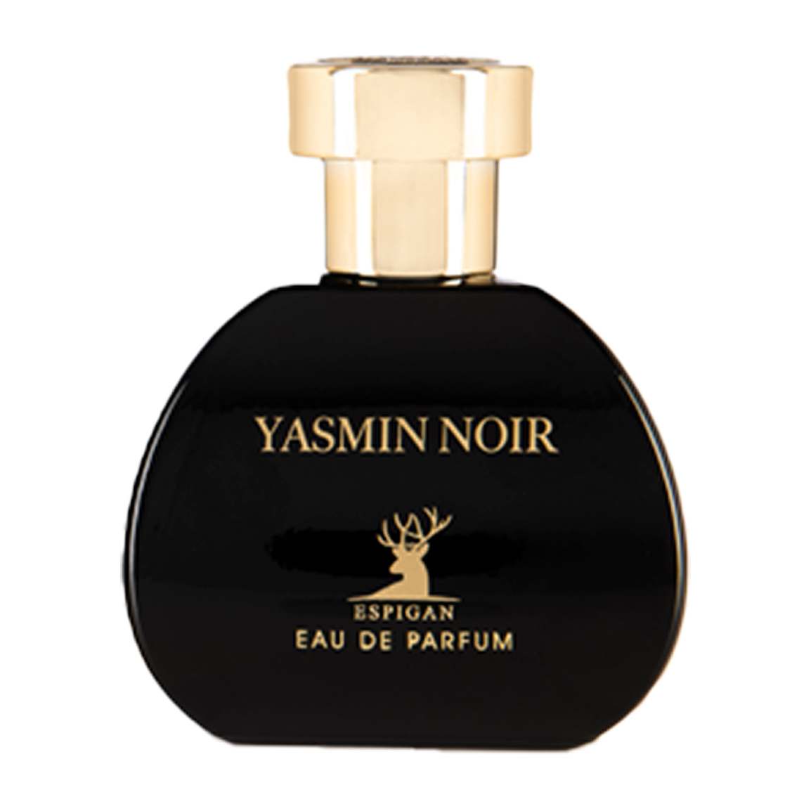 ادوپرفیوم زنانه مدل Yasmin Noir حجم 100 میلی لیتر