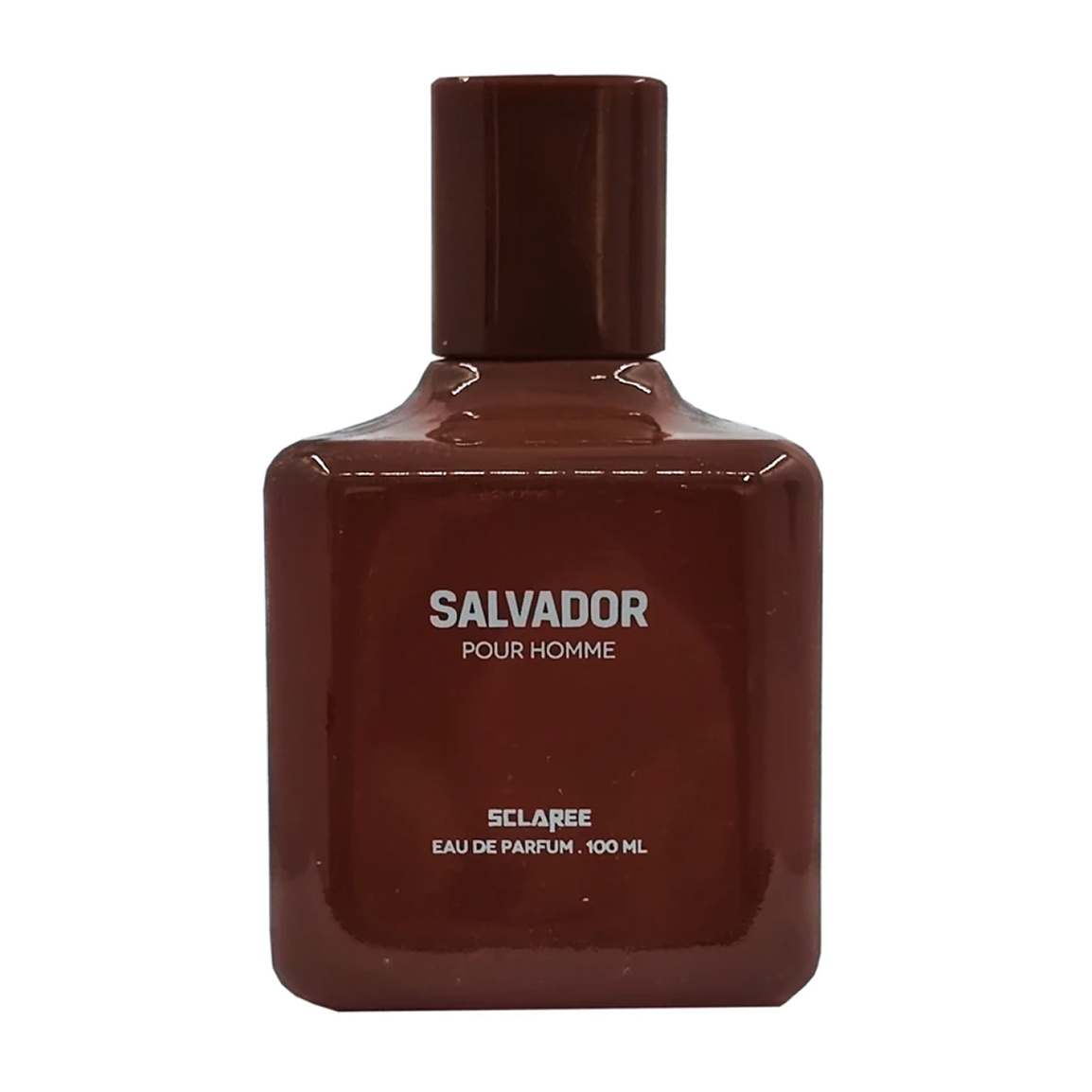 ادو پرفیوم مردانه استندی مدل Salvador حجم 100 میلی لیتر