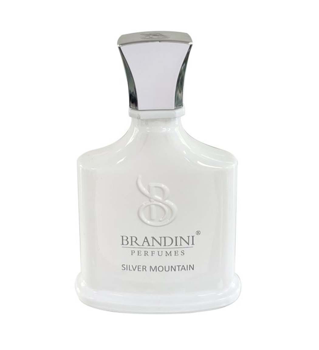 عطر Silver Mountain حجم 33 میل