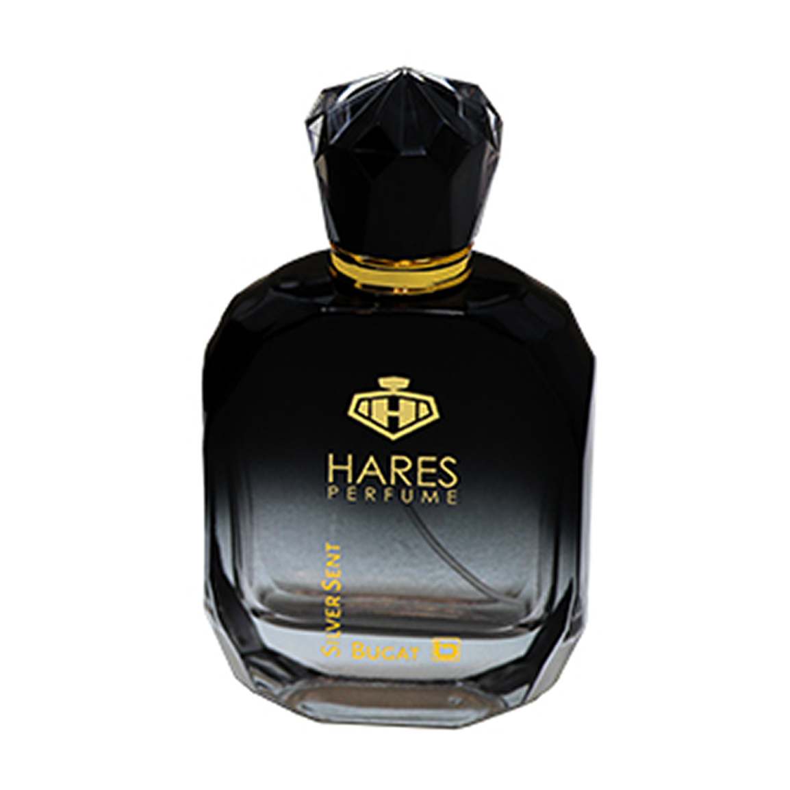 ادوپرفیوم مردانه مدل Silver Scent حجم 100 میلی لیتر