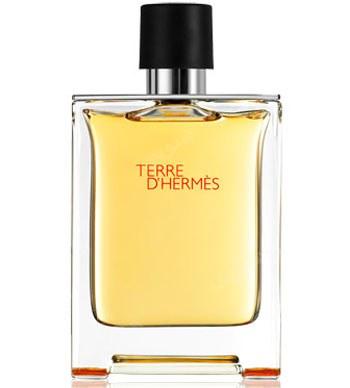 ادو تویلت مردانه مدلTerre D Hermes حجم 100 میل
