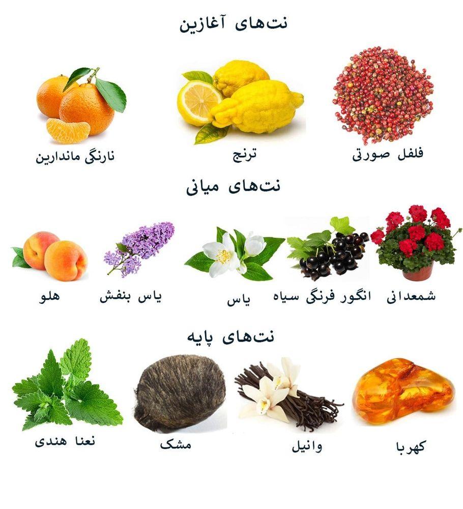 ادو تویلت زنانه مدل گیلتی حجم 100 میلی لیتر گوچی — تصویر ۴