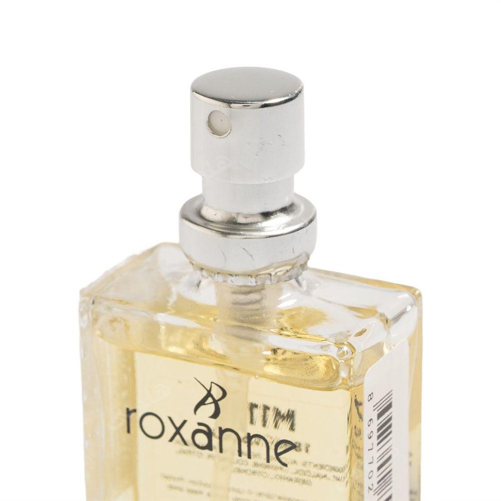 عطر جیبی مردانه با رایحه عطر Bleu حجم 18 میلی لیتر رکسان — تصویر ۲