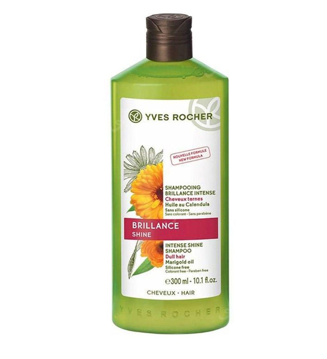 شامپو درخشان کننده مو مدل Vitality And Radiance حجم 300 میلی لیتر
