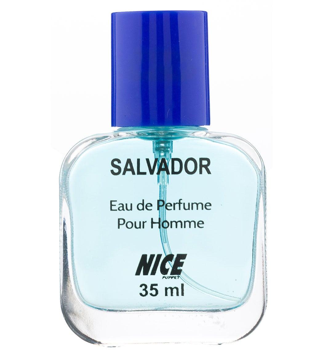عطر جیبی مردانه Salvador حجم 35میل