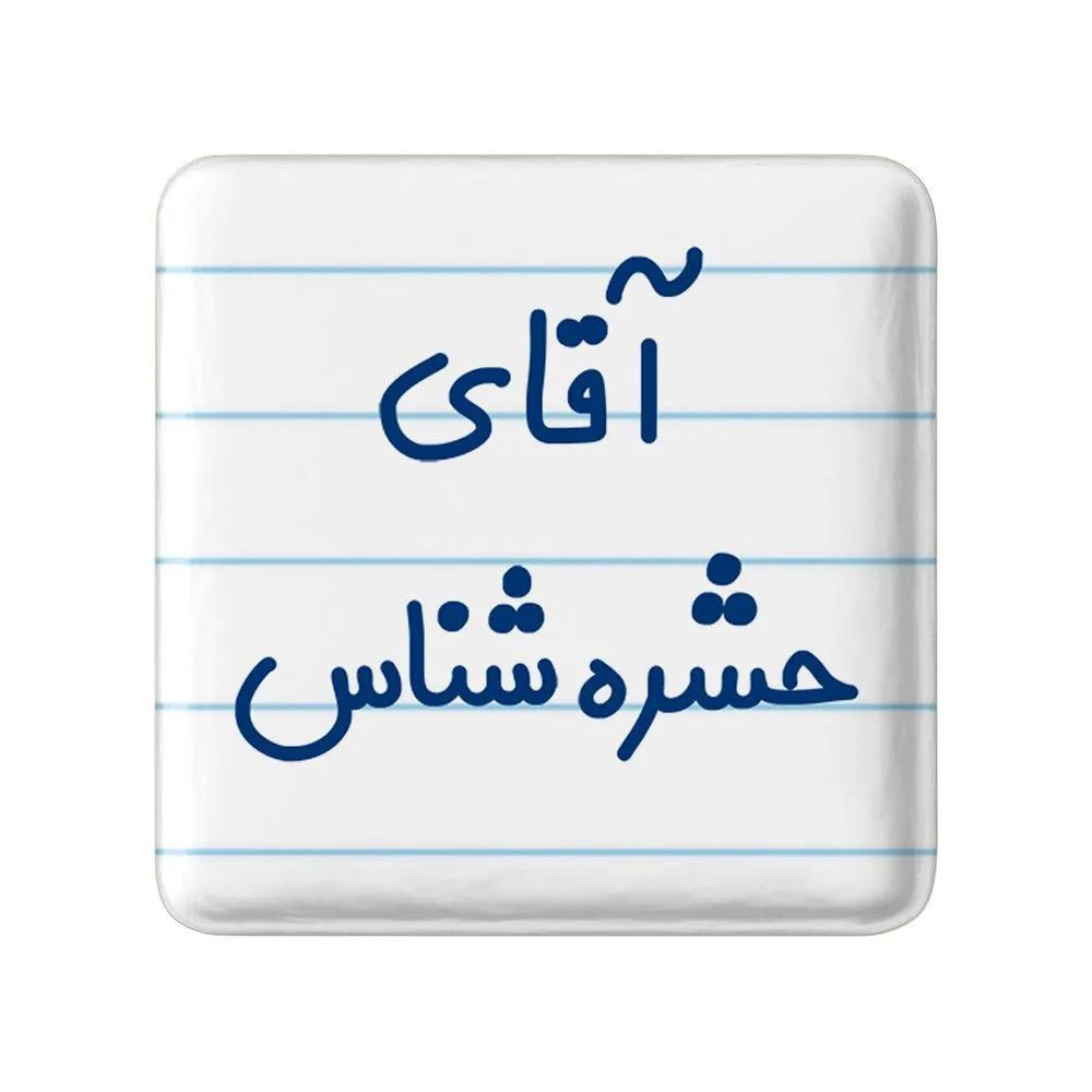 مگنت خندالو مدل آقای حشره شناس کد 7755