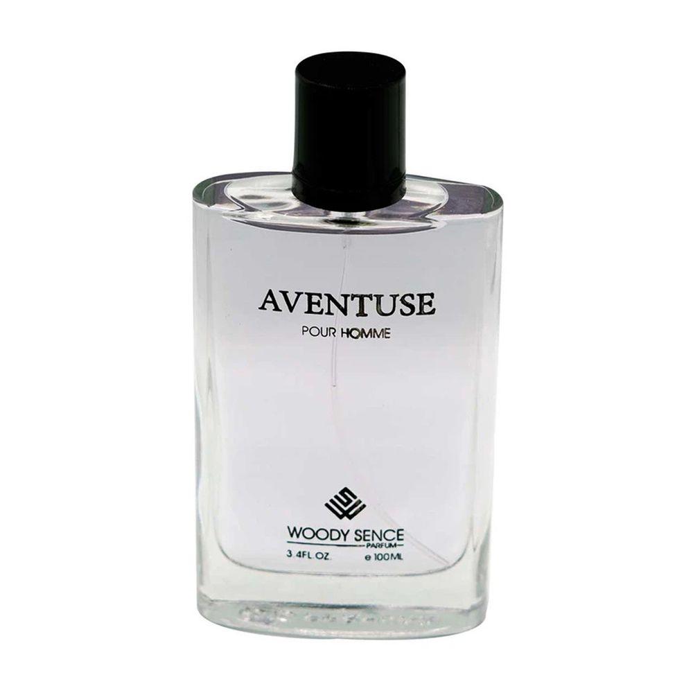 ادوپرفیوم مردانه مدل Aventuse حجم 100 میلی لیتر