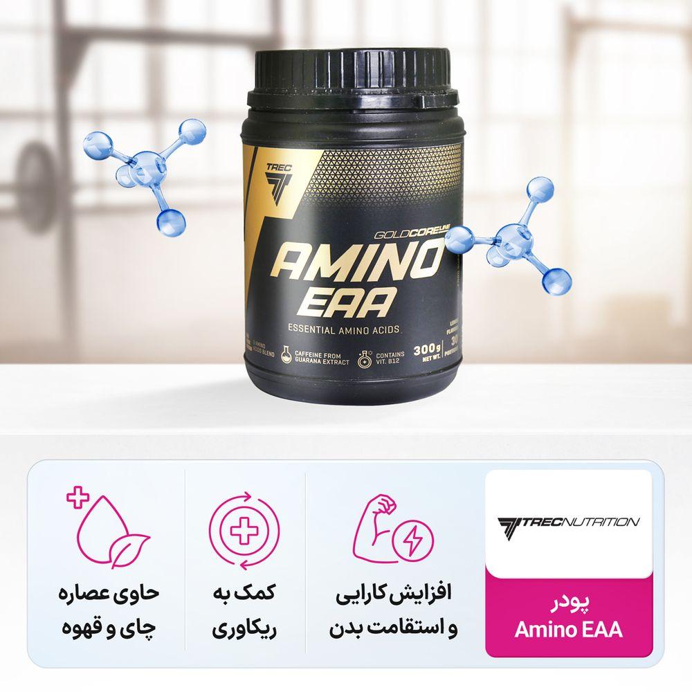 پودر آمینو EAA وزن 300 گرم ترک نوتریشن — تصویر ۳