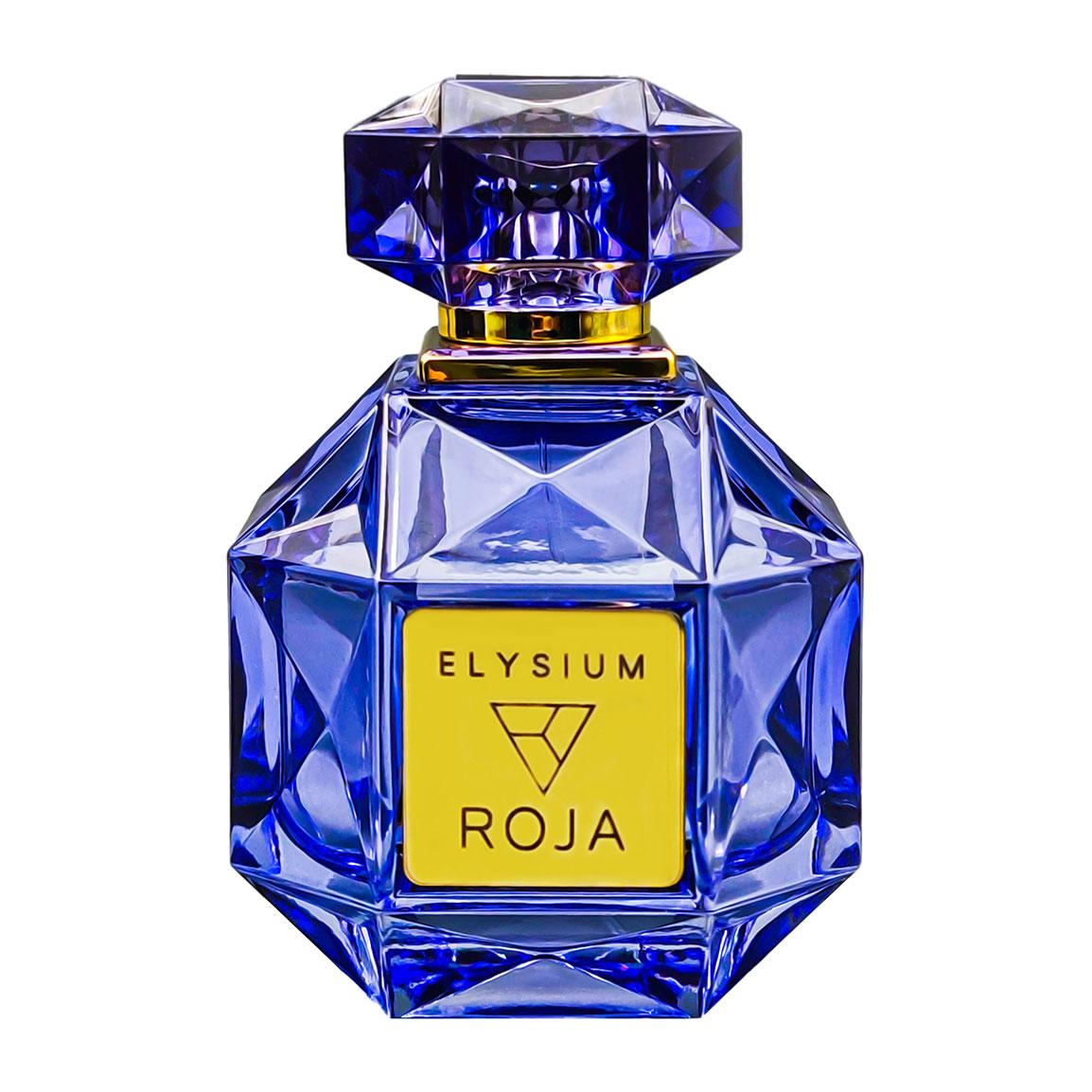 ادوپرفیوم مردانه مدل Roja Elysium حجم 100 میلی لیتر