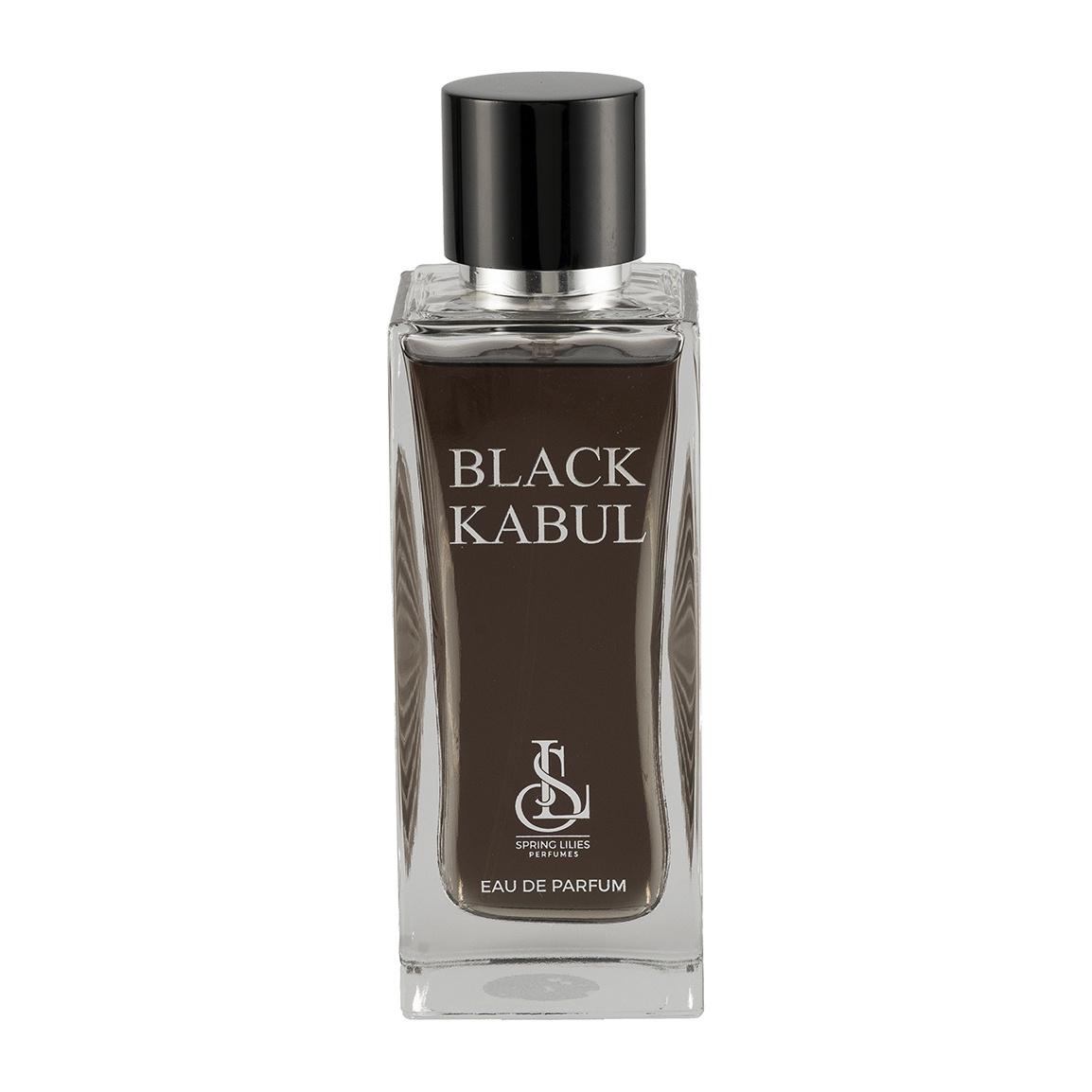 ادو پرفیوم مردانه مدل Black Kabul حجم 100 میلی لیتر با پکیج Soft