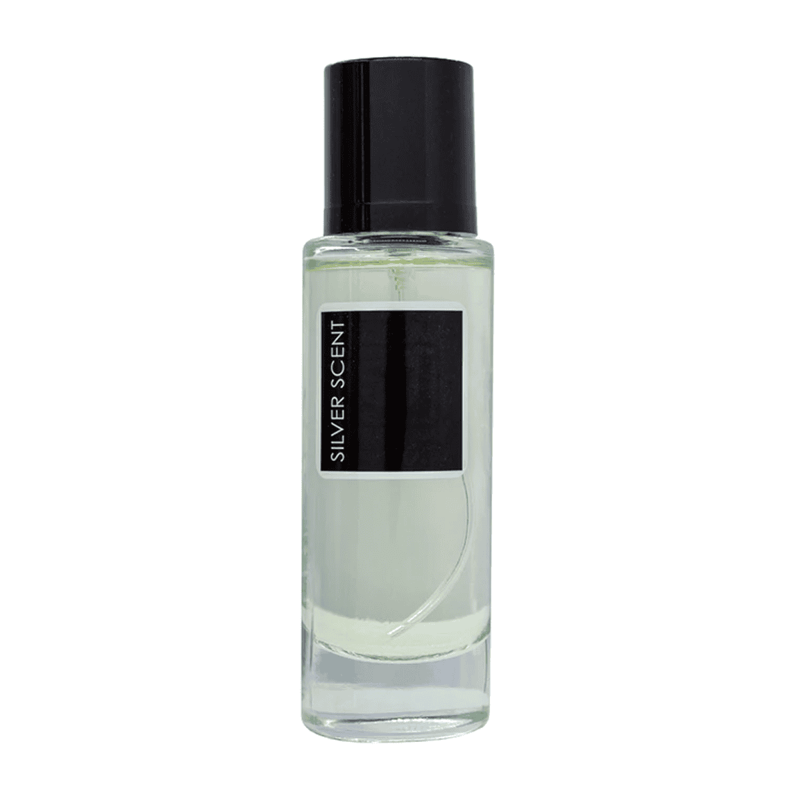 عطر جیبی مردانه مدل Silver Scent حجم 35 میلی لیتر