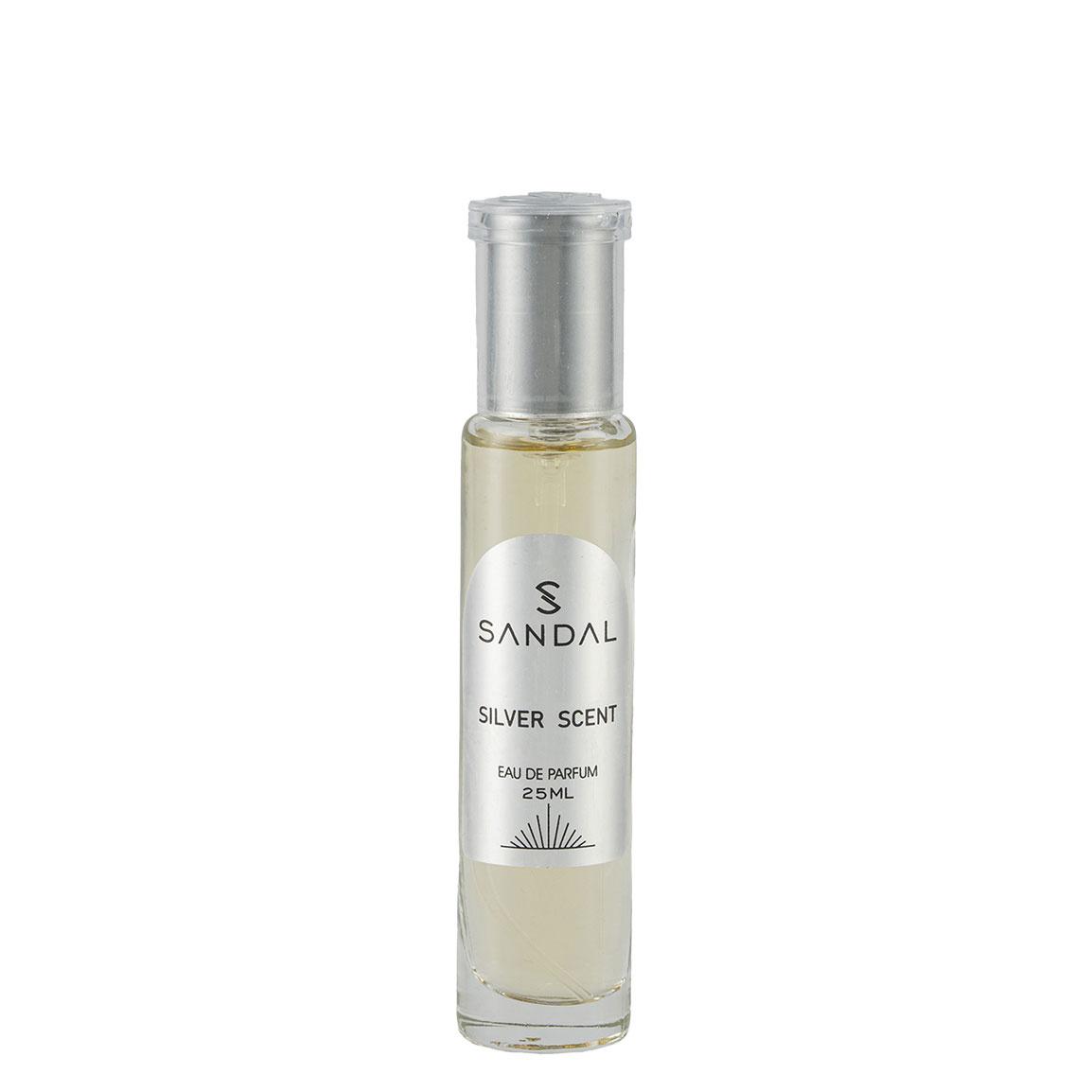 عطر جیبی مردانه مدل Silver Scent حجم 25 میلی لیتر