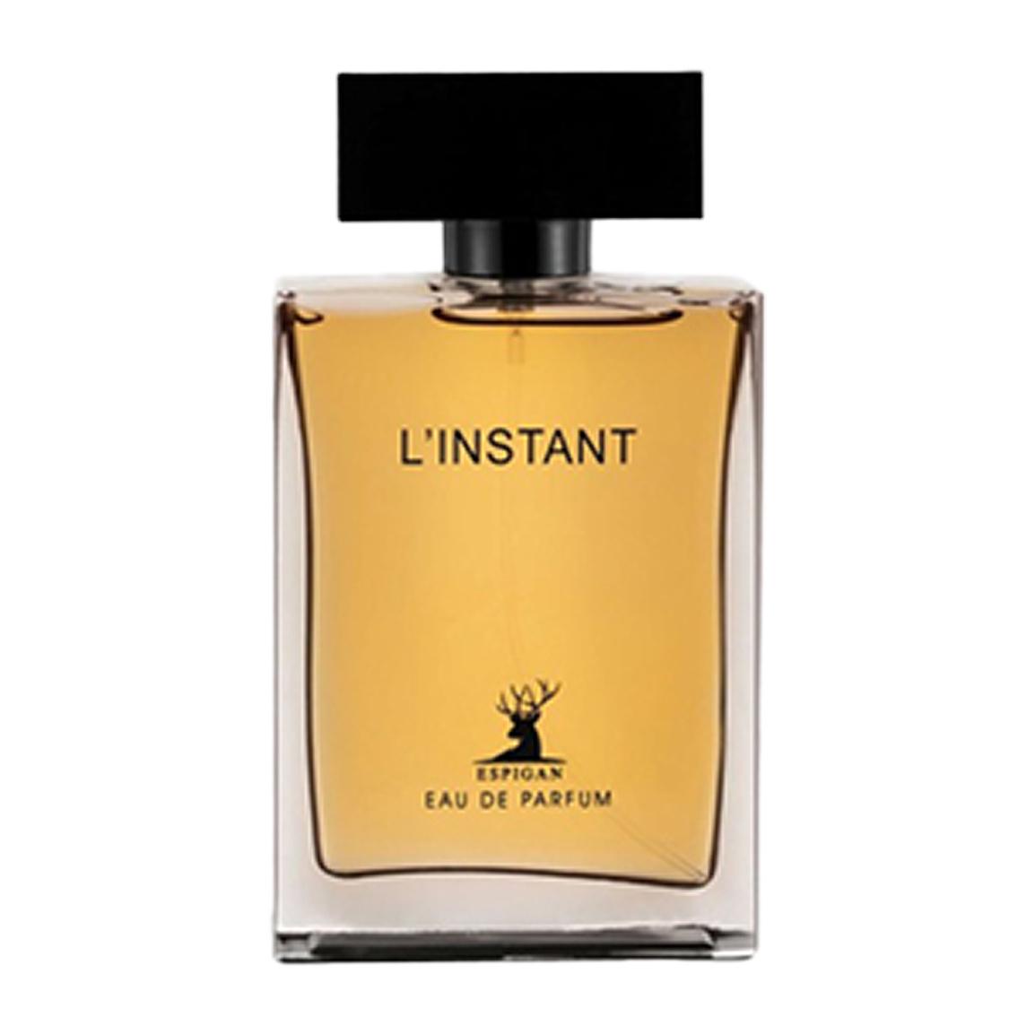 ادوپرفیوم مردانه مدل L‍‍instant حجم 100 میلی لیتر
