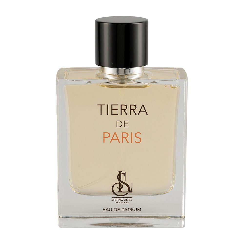 ادو پرفیوم مردانه مدل Tierra De Paris حجم 100 میلی لیتر با پکیج Soft