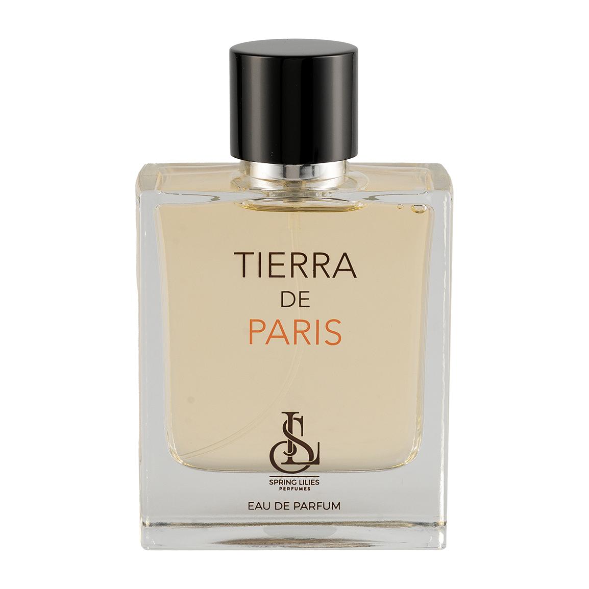 ادو پرفیوم مردانه مدل Tierra De Paris حجم 100 میلی لیتر با پکیج Soft
