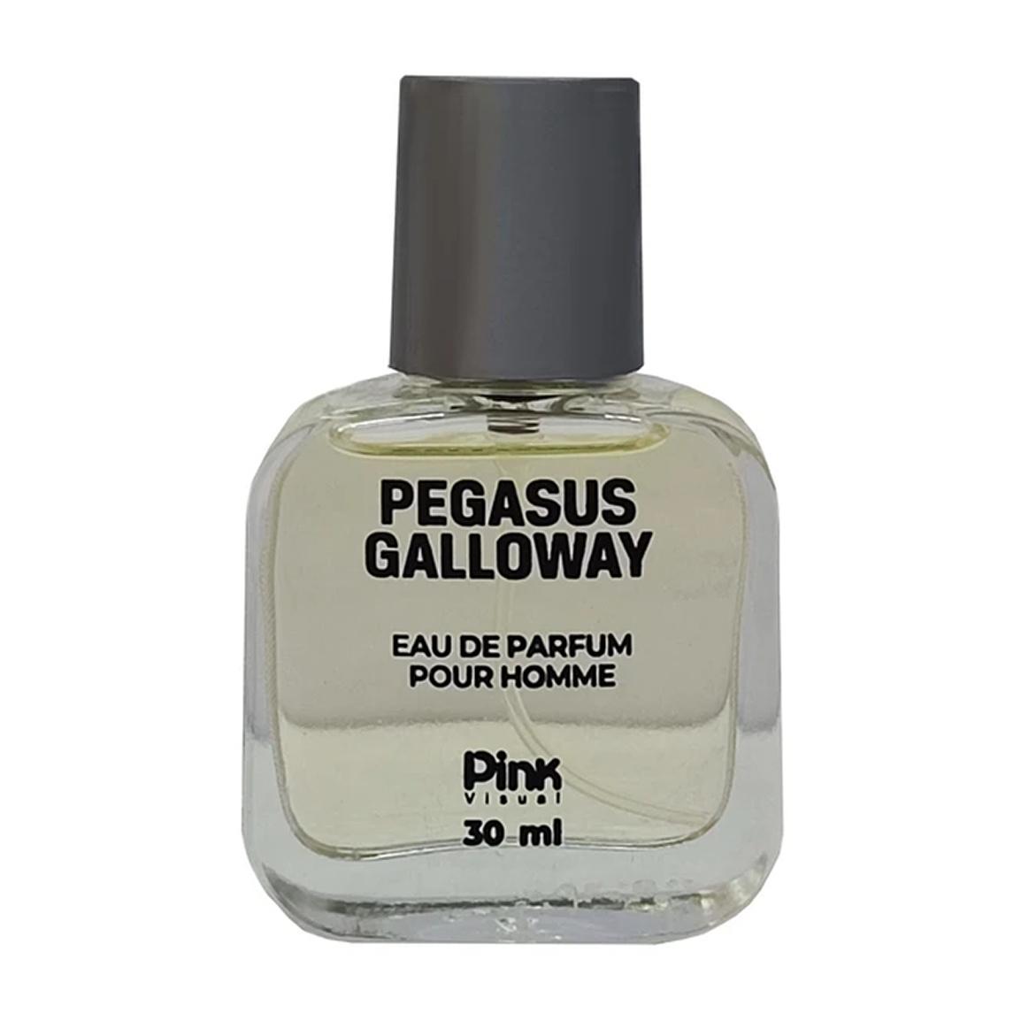 عطر جیبی مردانه مدل Pegasus Galloway حجم 30 میلی لیتر