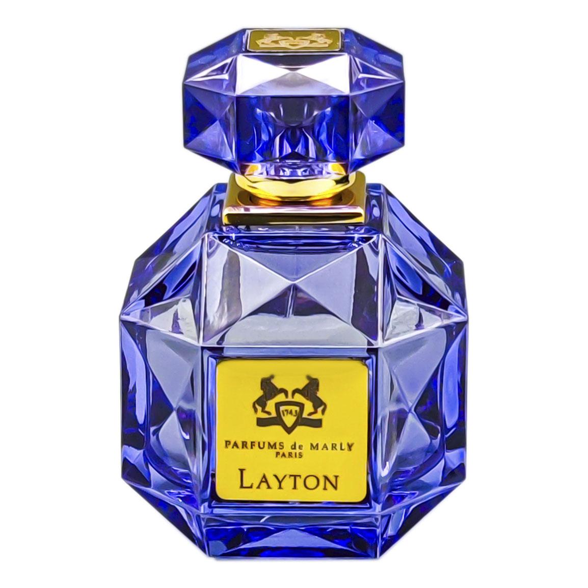 ادوپرفیوم مردانه مدل Layton حجم 100 میلی لیتر