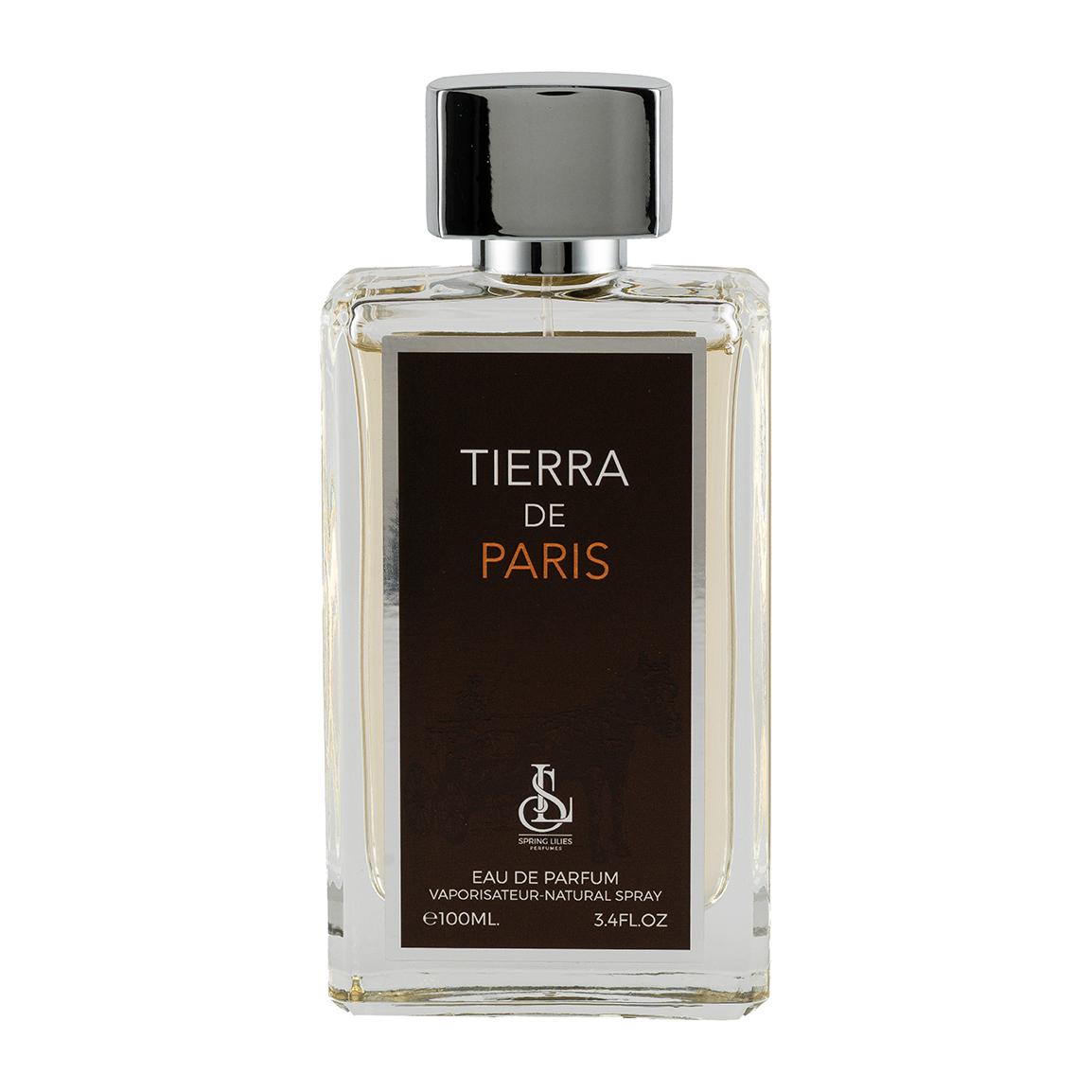 ادو پرفیوم مردانه مدل Tierra De Paris حجم 100 میلی لیتر