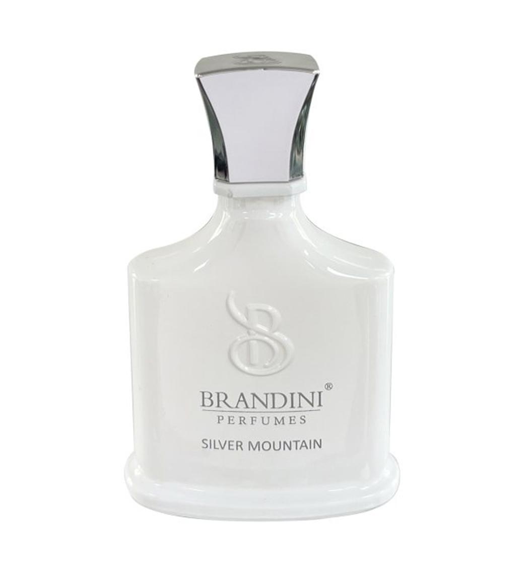 عطر Silver Mountain حجم 33 میل