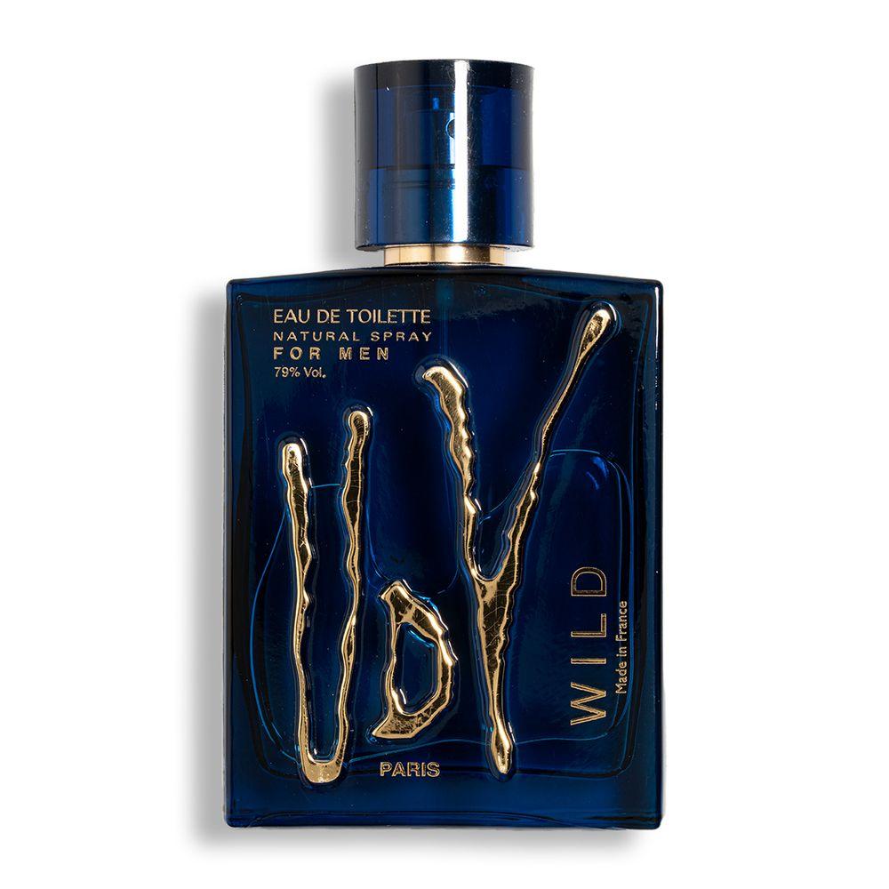 ادوتویلت مردانه مدل Wild حجم 100 میلی لیتر