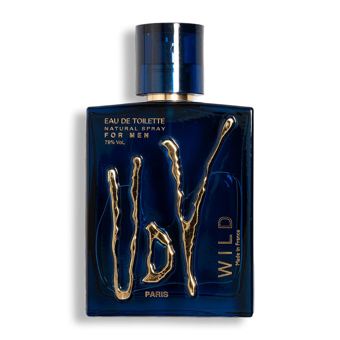 ادوتویلت مردانه مدل Wild حجم 100 میلی لیتر