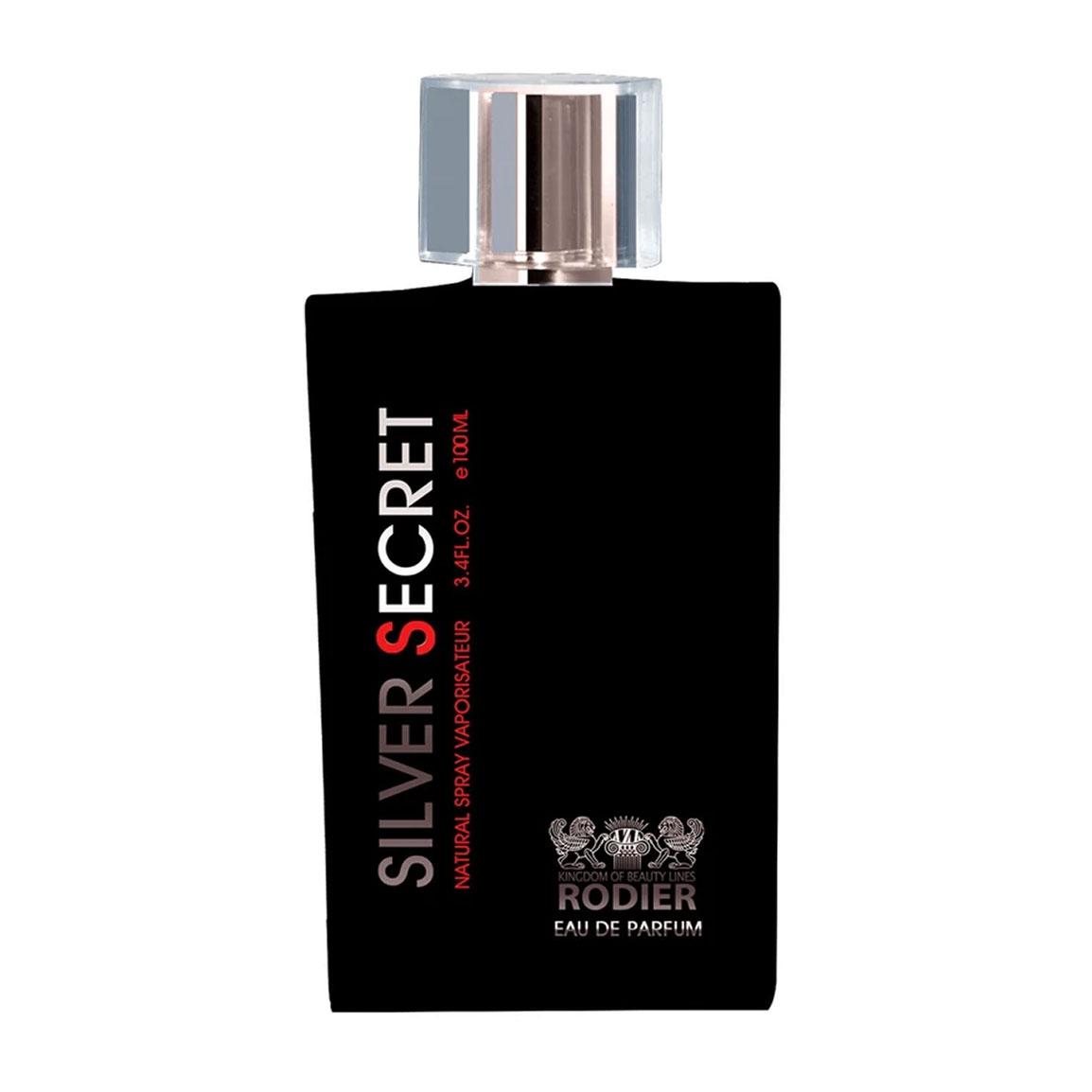 ادوپرفیوم مردانه مدل Silver Secret حجم 100 میلی لیتر