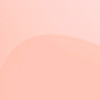 NP113