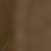 Medium Brown