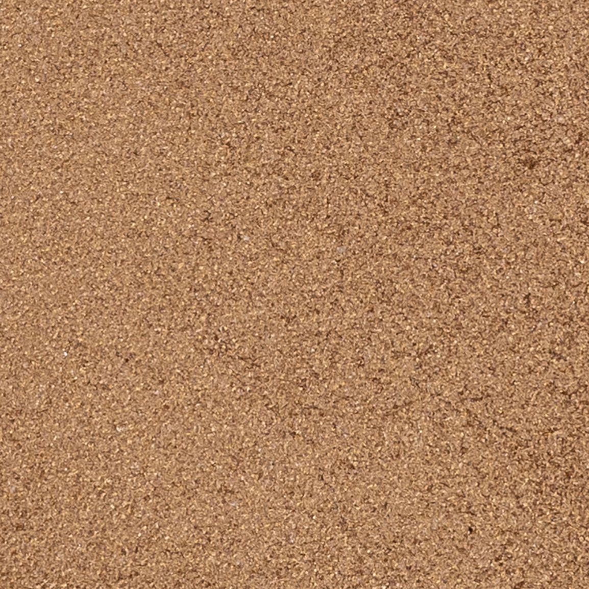 E205